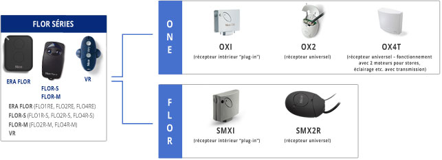 nice flor series – la compatibilité
