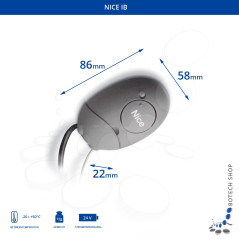 Schnittstelle NICE IB