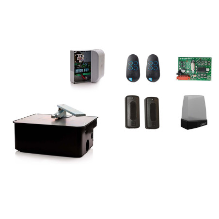 Set L für einflügeliges Drehtor CAME FROG AE 230V