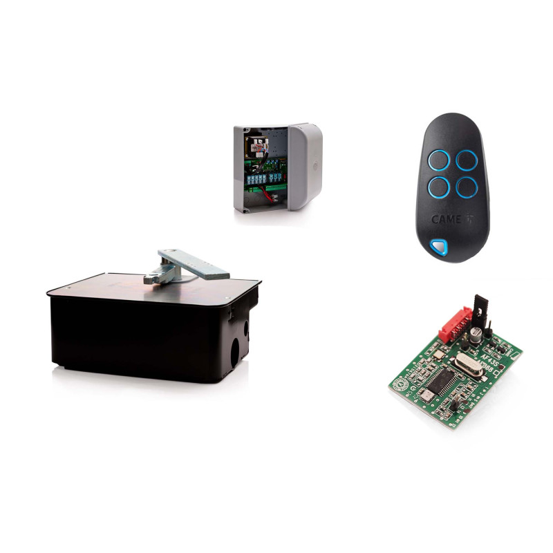 Unterflurantrieb CAME FROG AE/1 (Set S)