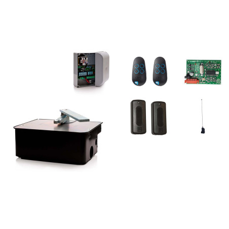 Set M für einflügeliges Drehtor CAME FROG AE 230V