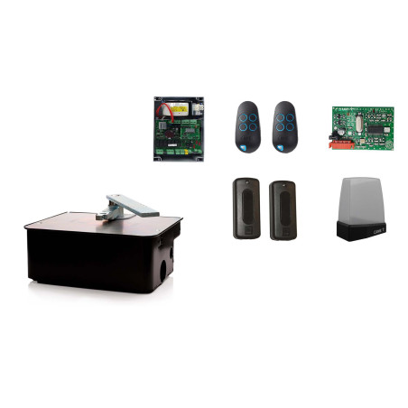 Set L für einflügeliges Drehtor CAME FROG A24 24V