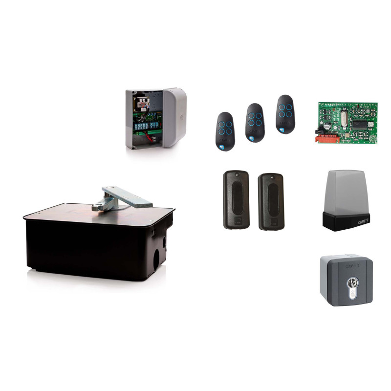 Unterflurantrieb CAME FROG AE/1 (Set XL)