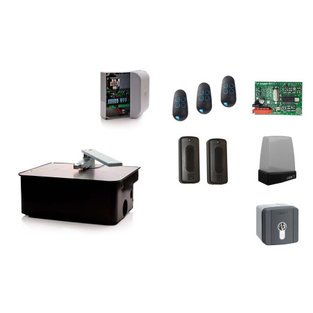 Set XL für einflügeliges Drehtor CAME FROG AE 230V