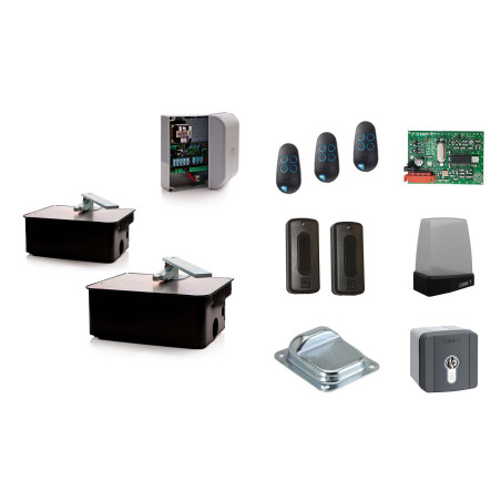 Set XL für zweiflügeliges Drehtor CAME FROG AE 230V