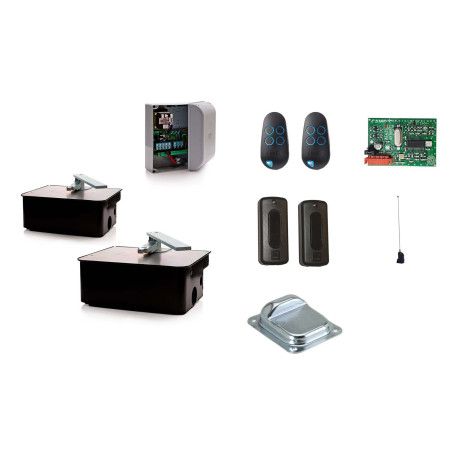 Set M für zweiflügeliges Drehtor CAME FROG AV 230V