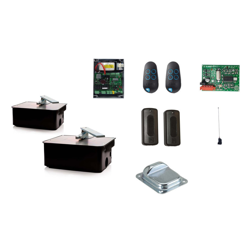 Unterflurantrieb CAME FROG A24/2 (Set M)