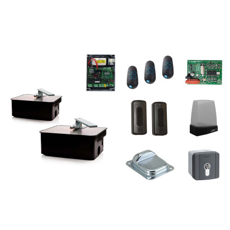 Set XL für zweiflügeliges Drehtor CAME FROG A24E 24V