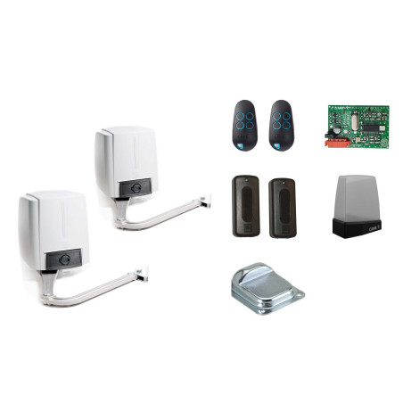 Drehtorantriebe CAME FAST 7001/70230 im Set L für zweiflügeliges Tor