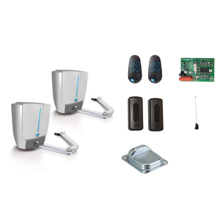 Drehtorantriebe CAME FAST 4024 im Set M für zweiflügeliges Tor