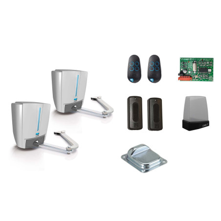 Drehtorantriebe CAME FAST 4024 im Set L für zweiflügeliges Tor