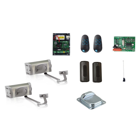 Drehtorantriebe CAME FERNI 4024 im Set M für zweiflügeliges Tor