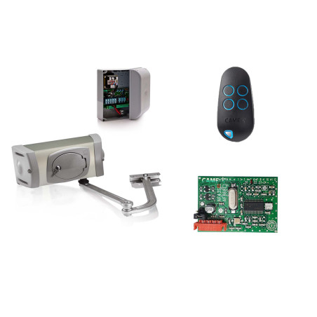 Drehtorantriebe CAME FERNI 40230 im Set S für einflügeliges Tor