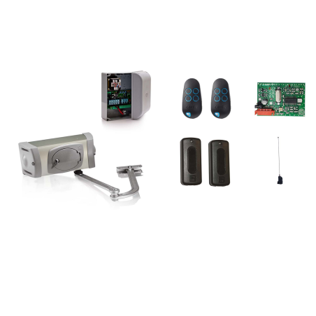 Drehtorantriebe CAME FERNI 40230 im Set S für einflügeliges Tor