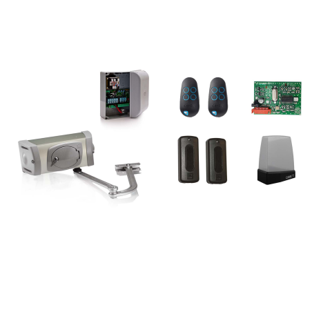 Drehtorantriebe CAME FERNI 40230 im Set L für einflügeliges Tor