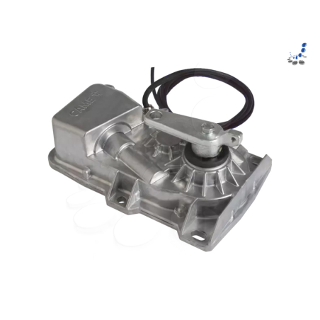 Bürstenloser Unterflurantrieb CAME FROG-X