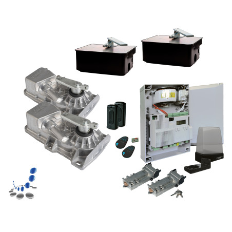 CAME FROG-X Set: Unterflurantrieb Set für 2-flügelig Drehor bis 4 m