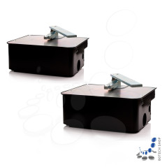 Set S für zweiflügeliges Drehtor CAME FROG AE 230V