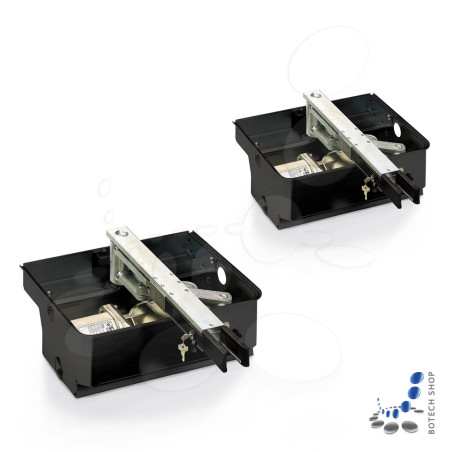 Unterflurantrieb FAAC 770 24V/2 (Set L)